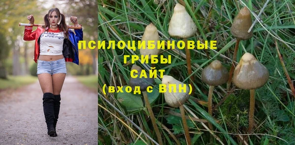 стафф Абинск