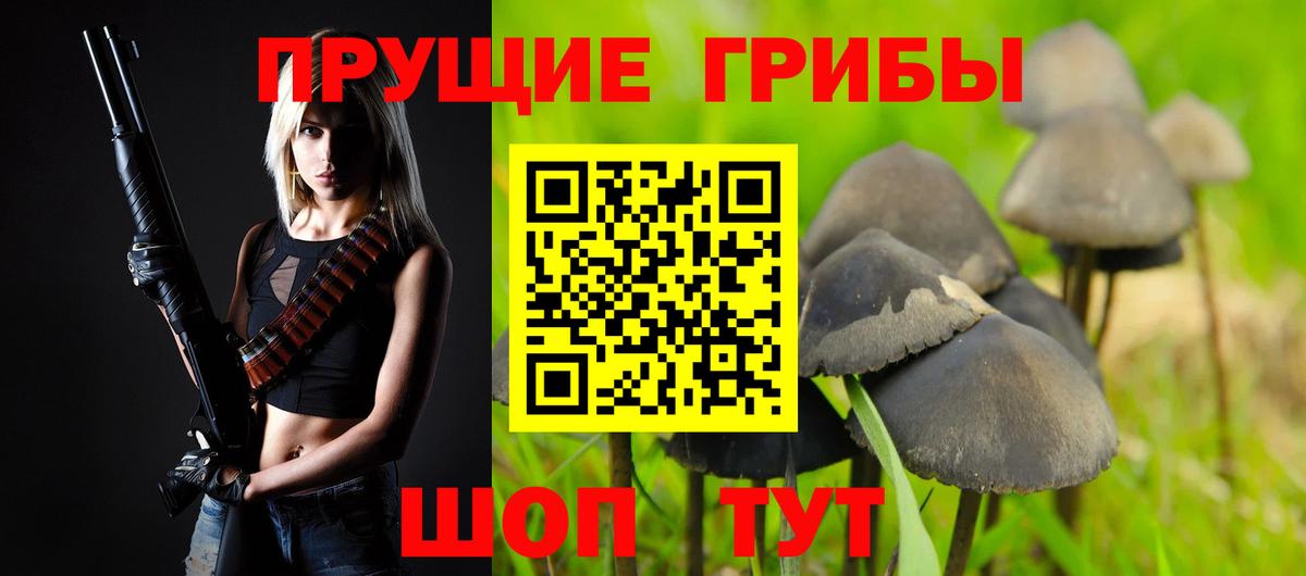 Галлюциногенные грибы ЛСД  Вход с VPN  Тында 