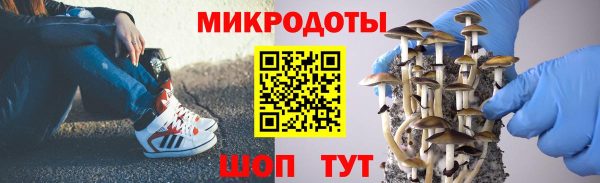 Галлюциногенные грибы MAGIC MUSHROOMS Тында